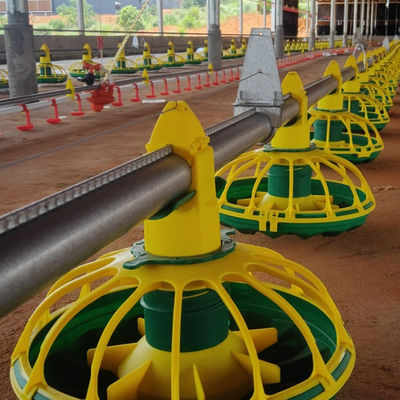 Chicken Drinking Automatic Pan Feeding System For Poultry Farming Equipment