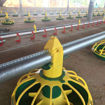 Grelha do eixo helicoidal das aves domésticas sistema bebendo de Pan Feeding System Chicken Water da auto
