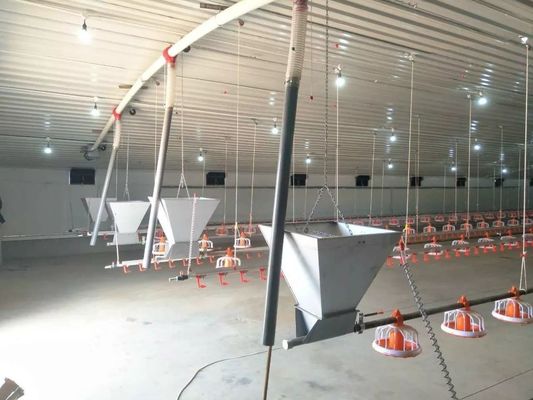 Corrente Pan Feeding System automático da exploração agrícola de galinha 1 fase